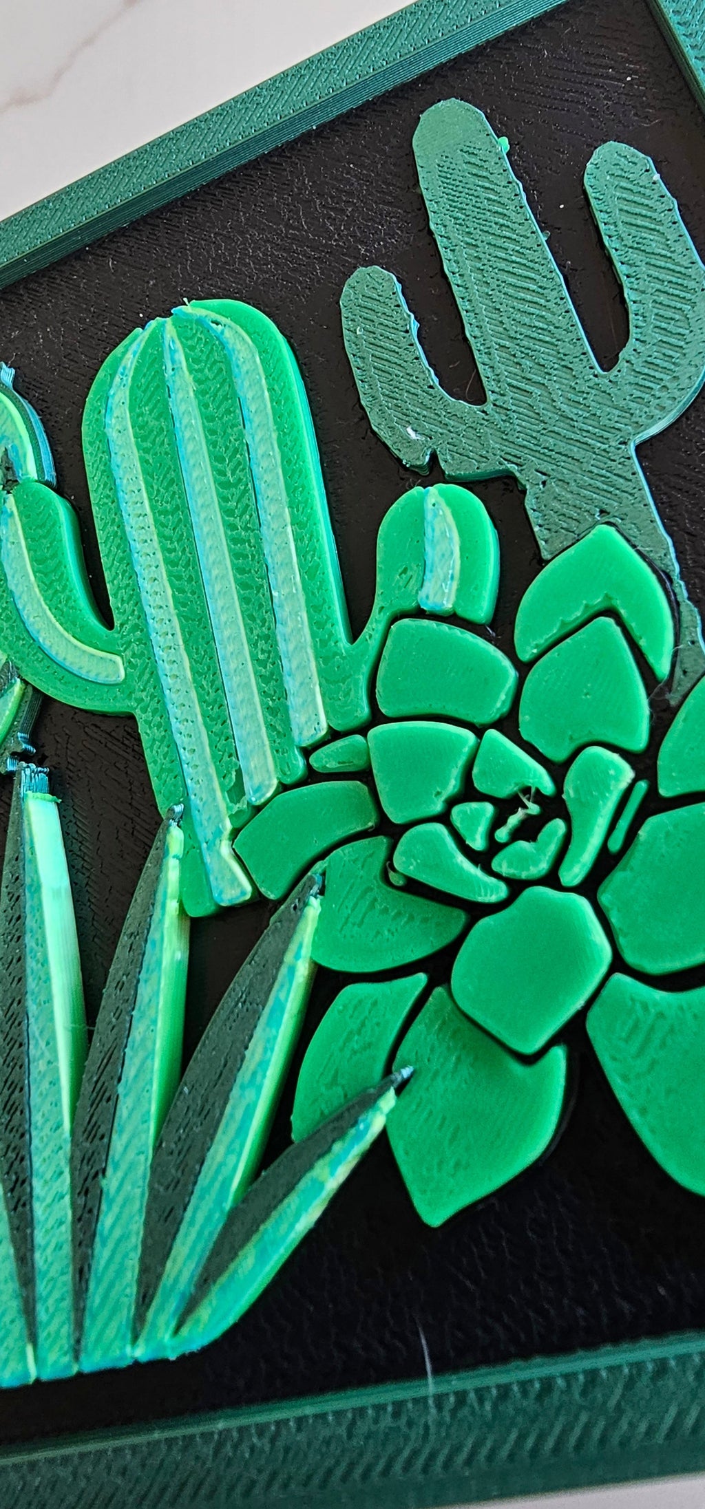 3d Print Cactus Gift Box Baha Ranch Western Wear