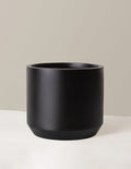 Large Mexia Planter