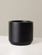 Large Mexia Planter